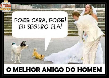 O melhor amigo do homem