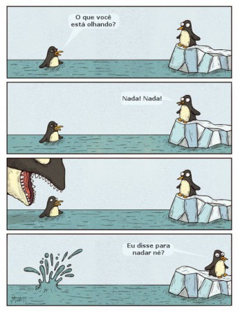 Os pinguins 