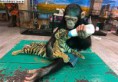 O macaco dando de mamar ao tigre